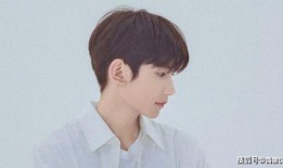 王源爆料相亲视频大全最新,揭秘明星爱情故事背后的甜蜜与挑战