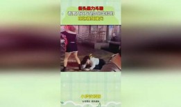 小宝茶的爆料怎么做的视频,跟随爆料一探究竟